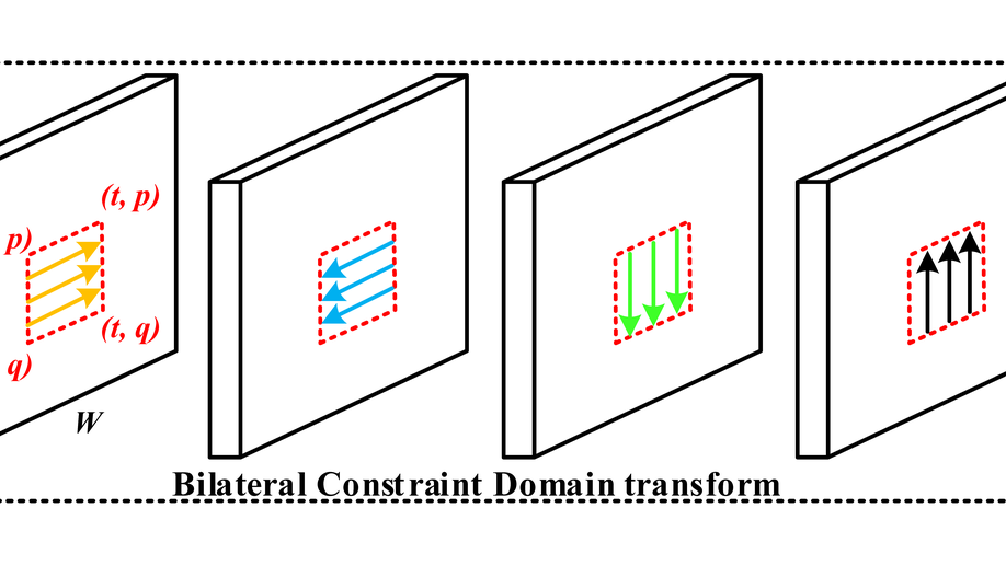 Seg-Edge Bilateral Constraint Network for Iris Segmentation